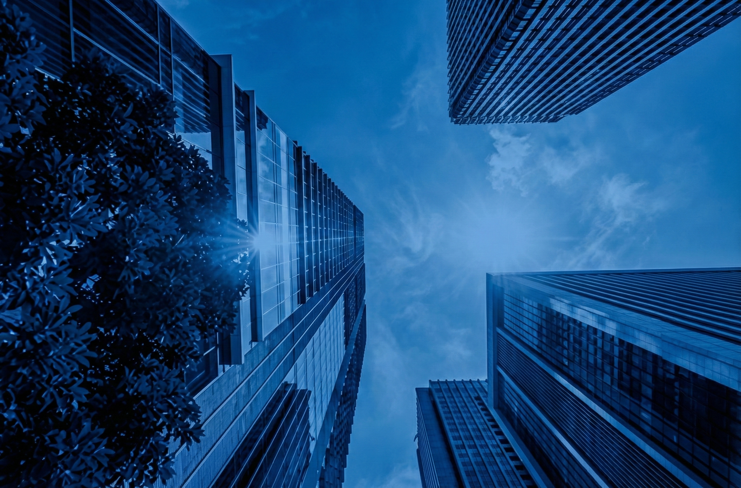 Real Estate Consulting